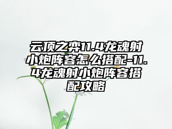 云顶之弈11.4龙魂射小炮阵容怎么搭配-11.4龙魂射小炮阵容搭配攻略