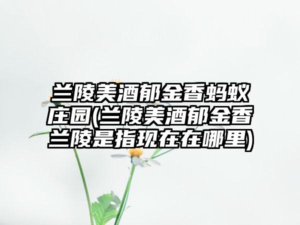 兰陵美酒郁金香蚂蚁庄园(兰陵美酒郁金香兰陵是指现在在哪里)