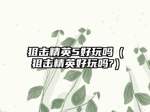 狙击精英5好玩吗（狙击精英好玩吗?）