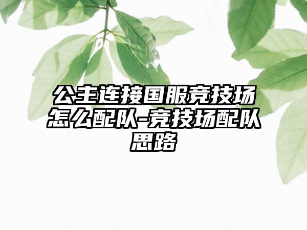 公主连接国服竞技场怎么配队-竞技场配队思路