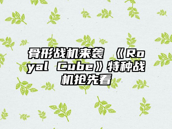 骨形战机来袭 《Royal Cube》特种战机抢先看