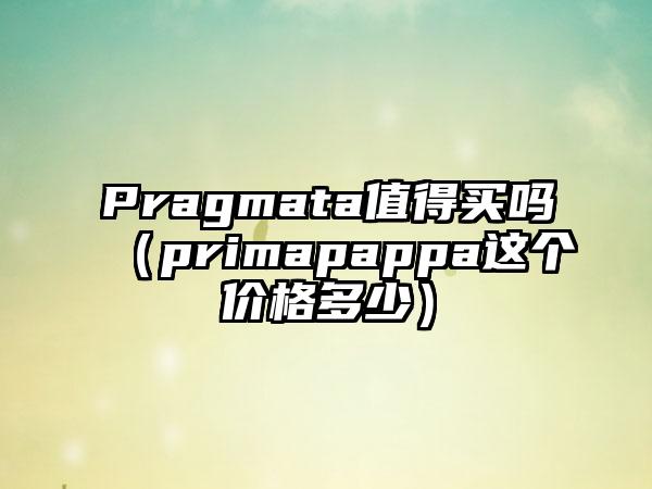 Pragmata值得买吗（primapappa这个价格多少）