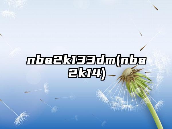 nba2k133dm(nba2k14)