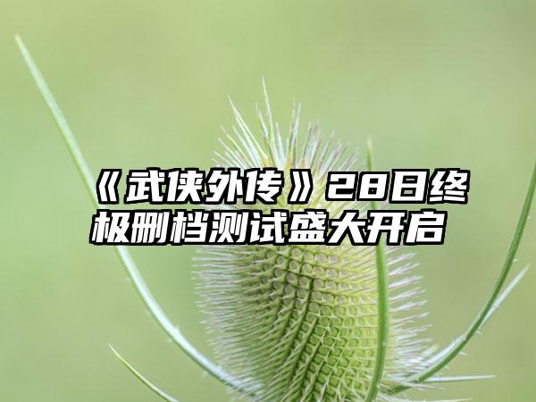 《武侠外传》28日终极删档测试盛大开启