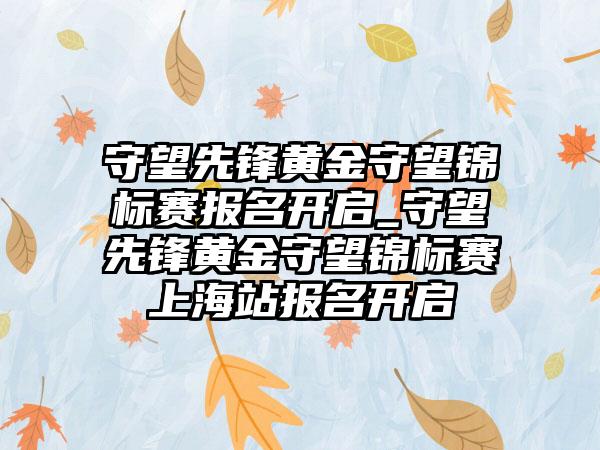 守望先锋黄金守望锦标赛报名开启_守望先锋黄金守望锦标赛上海站报名开启