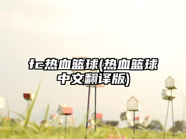 fc热血篮球(热血篮球中文翻译版)