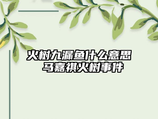 火树九漏鱼什么意思 马嘉祺火树事件
