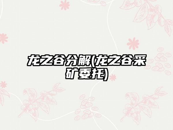 龙之谷分解(龙之谷采矿委托)
