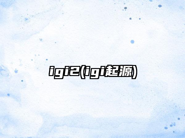 igi2(igi起源)