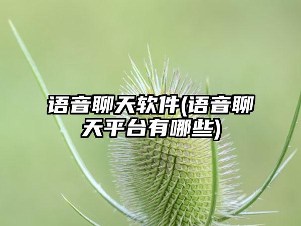 语音聊天软件(语音聊天平台有哪些)