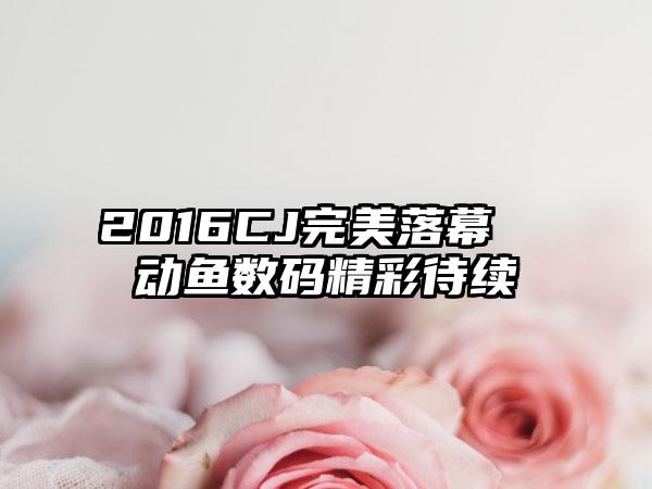2016CJ完美落幕  动鱼数码精彩待续