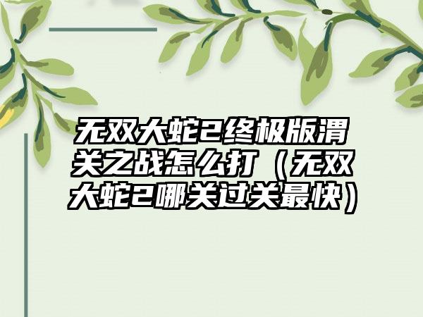 无双大蛇2终极版渭关之战怎么打（无双大蛇2哪关过关最快）