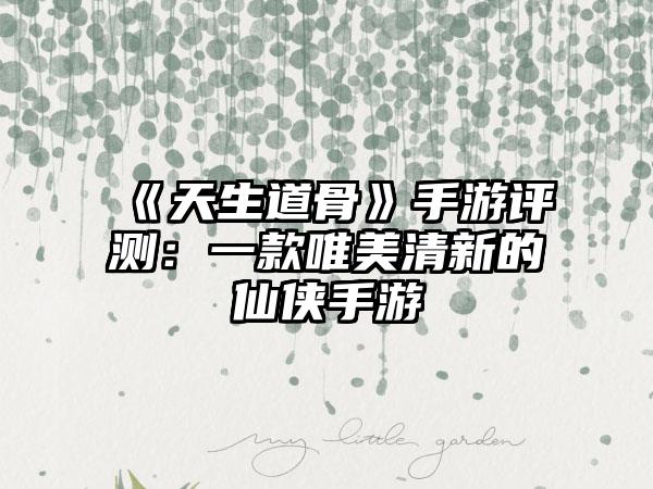 《天生道骨》手游评测：一款唯美清新的仙侠手游