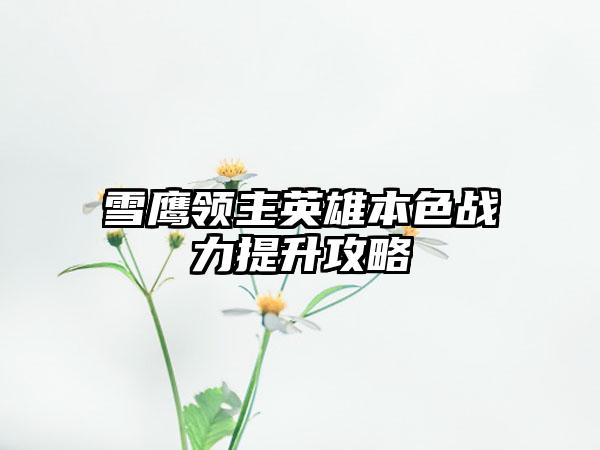 雪鹰领主英雄本色战力提升攻略