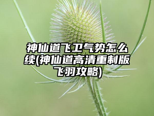 神仙道飞卫气势怎么续(神仙道高清重制版飞羽攻略)