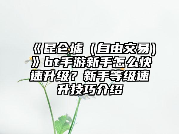 《昆仑墟（自由交易）》bt手游新手怎么快速升级？新手等级速升技巧介绍
