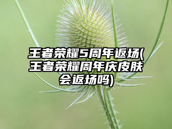 王者荣耀5周年返场(王者荣耀周年庆皮肤会返场吗)