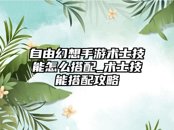 自由幻想手游术士技能怎么搭配_术士技能搭配攻略