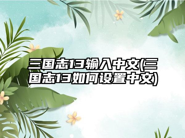 三国志13输入中文(三国志13如何设置中文)
