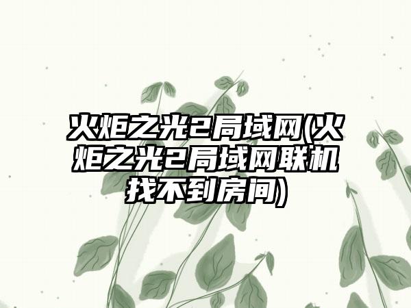 火炬之光2局域网(火炬之光2局域网联机找不到房间)