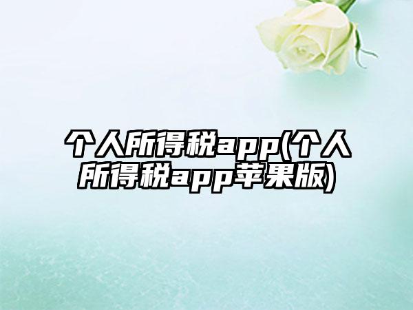 个人所得税app(个人所得税app苹果版)
