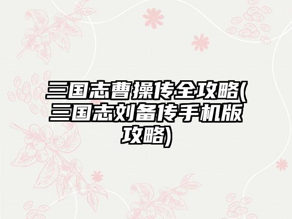 三国志曹操传全攻略(三国志刘备传手机版攻略)