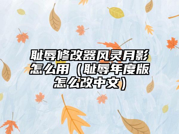 耻辱修改器风灵月影怎么用（耻辱年度版怎么改中文）