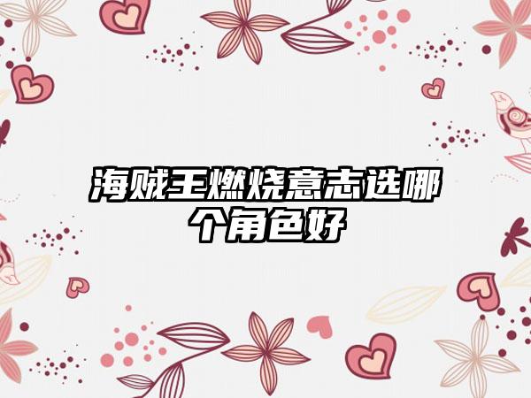 海贼王燃烧意志选哪个角色好