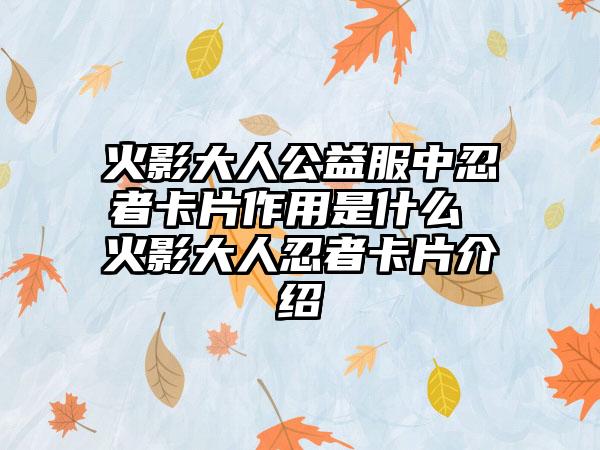 火影大人公益服中忍者卡片作用是什么 火影大人忍者卡片介绍