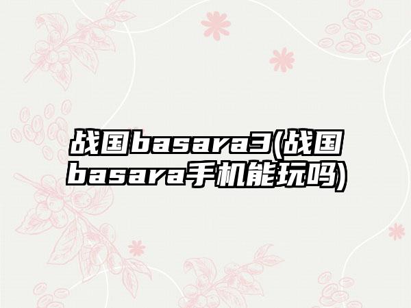 战国basara3(战国basara手机能玩吗)