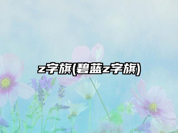 z字旗(碧蓝z字旗)