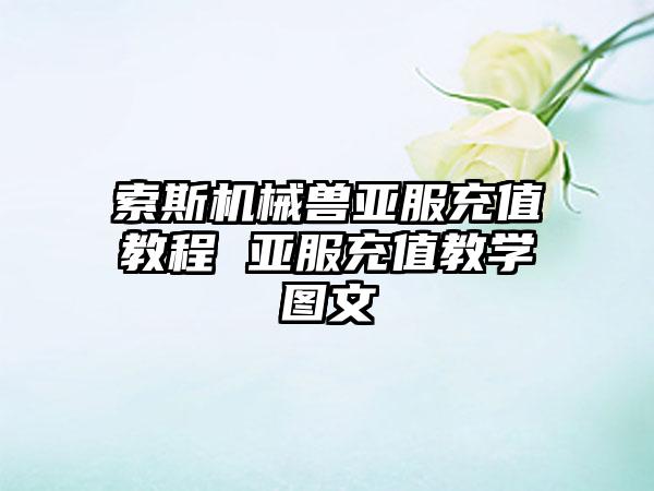 索斯机械兽亚服充值教程 亚服充值教学图文