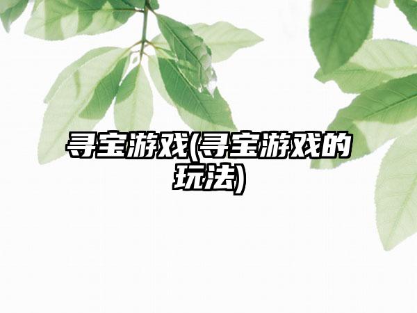 寻宝游戏(寻宝游戏的玩法)