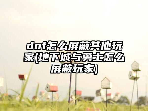 dnf怎么屏蔽其他玩家(地下城与勇士怎么屏蔽玩家)
