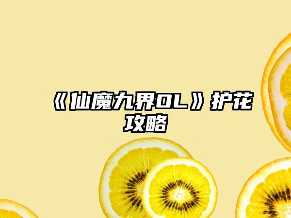 《仙魔九界OL》护花攻略