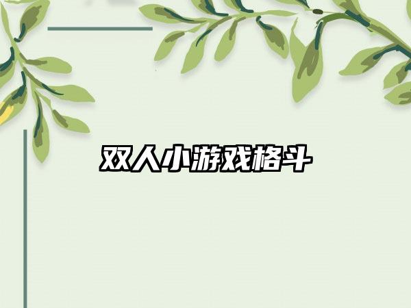 双人小游戏格斗