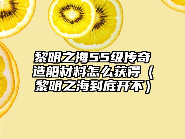 黎明之海55级传奇造船材料怎么获得(黎明之海到底开不)