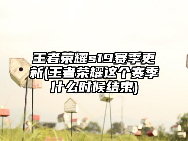 王者荣耀s19赛季更新(王者荣耀这个赛季什么时候结束)