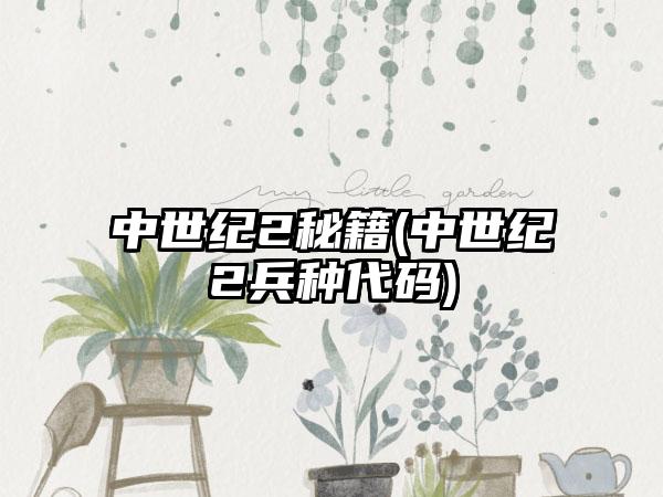 中世纪2秘籍(中世纪2兵种代码)