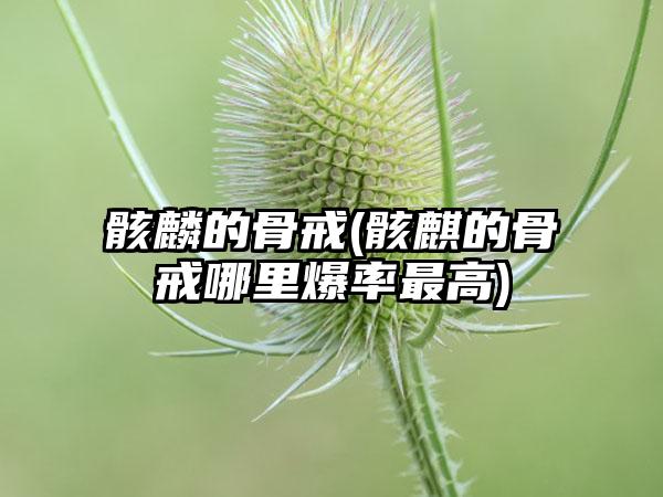 骸麟的骨戒(骸麒的骨戒哪里爆率最高)