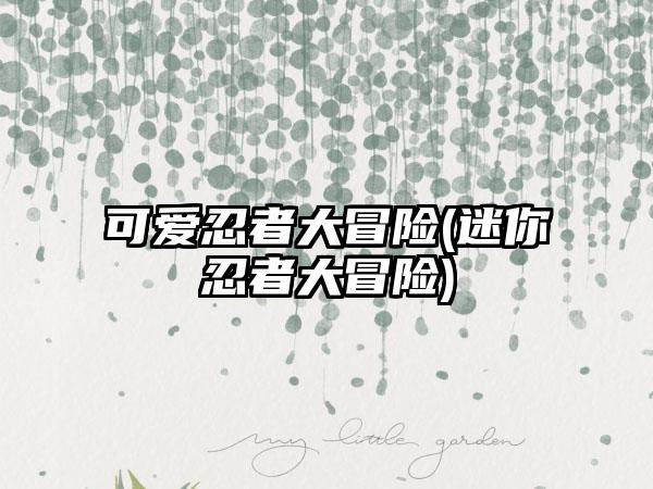 可爱忍者大冒险(迷你忍者大冒险)