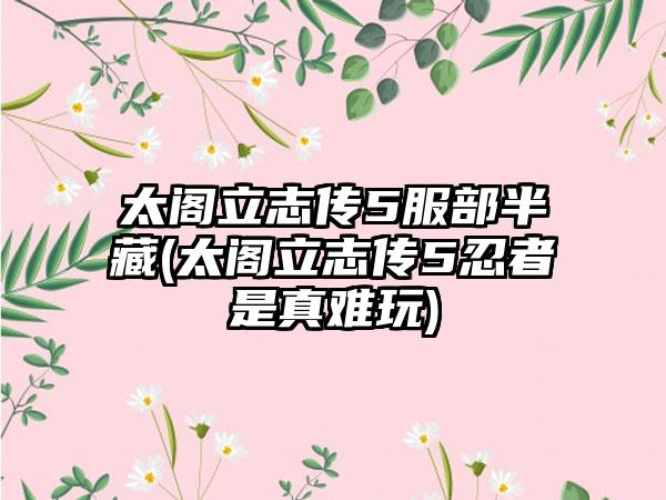 太阁立志传5服部半藏(太阁立志传5忍者是真难玩)