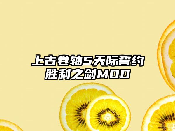 上古卷轴5天际誓约胜利之剑MOD