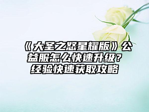《大圣之怒星耀版》公益服怎么快速升级？经验快速获取攻略