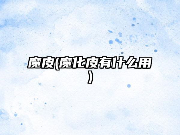 魔皮(魔化皮有什么用)