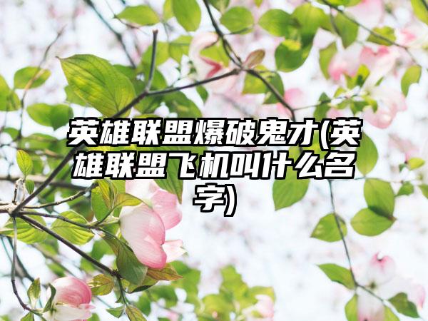 英雄联盟爆破鬼才(英雄联盟飞机叫什么名字)