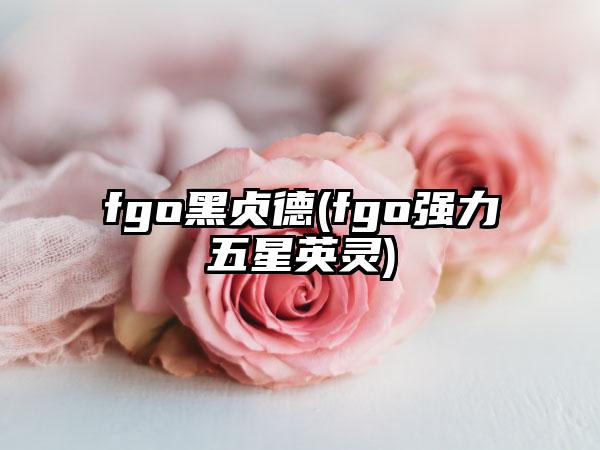 fgo黑贞德(fgo强力五星英灵)
