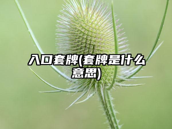 入口套牌(套牌是什么意思)