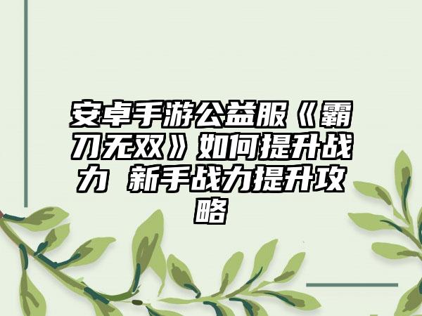 安卓手游公益服《霸刀无双》如何提升战力 新手战力提升攻略
