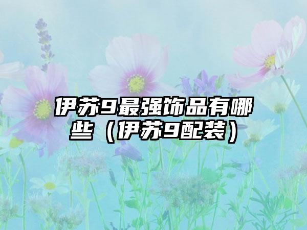 伊苏9最强饰品有哪些（伊苏9配装）